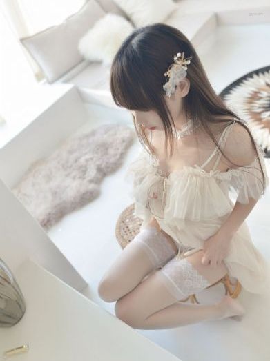 樱花动漫后宫露营