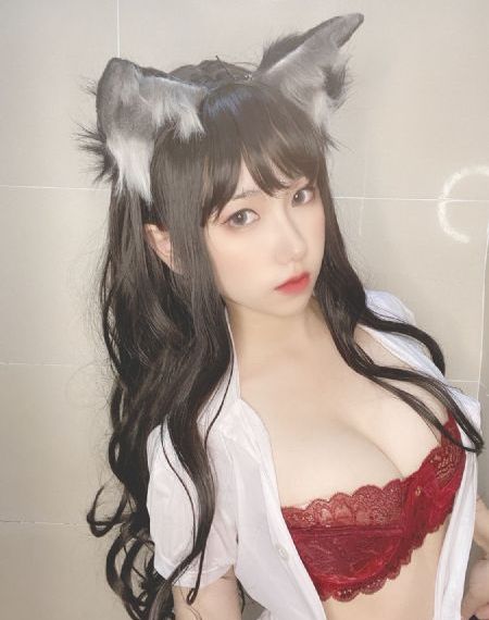 海棠灿烂满堂红