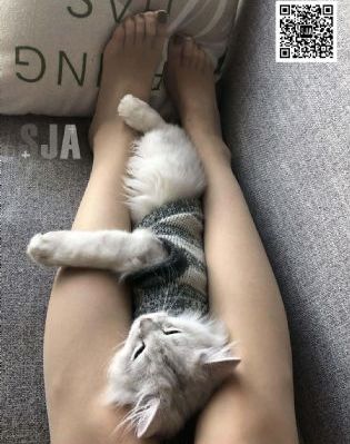 相亲对象是问题