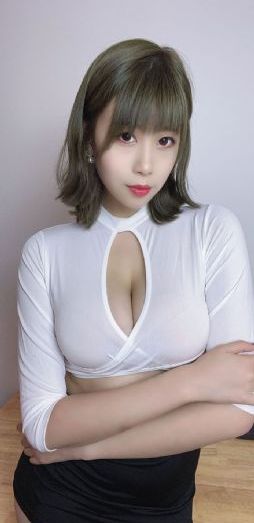 珠帘玉幕电视剧免费观看完整版