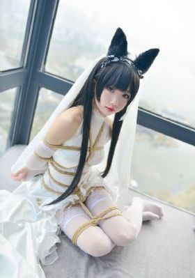 行尸走肉第十三季全集