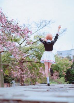 水中花电视剧全集免费观看